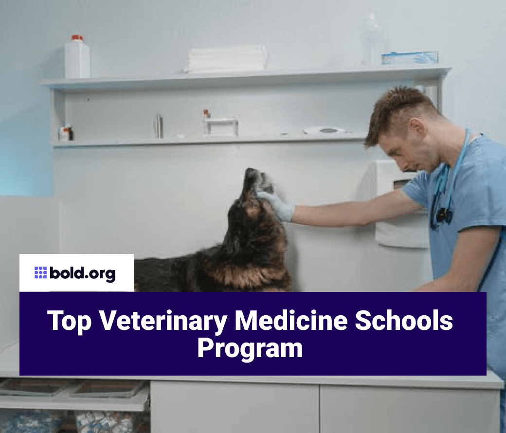 Best Veterinary Medicine Degrees Search Top Colleges