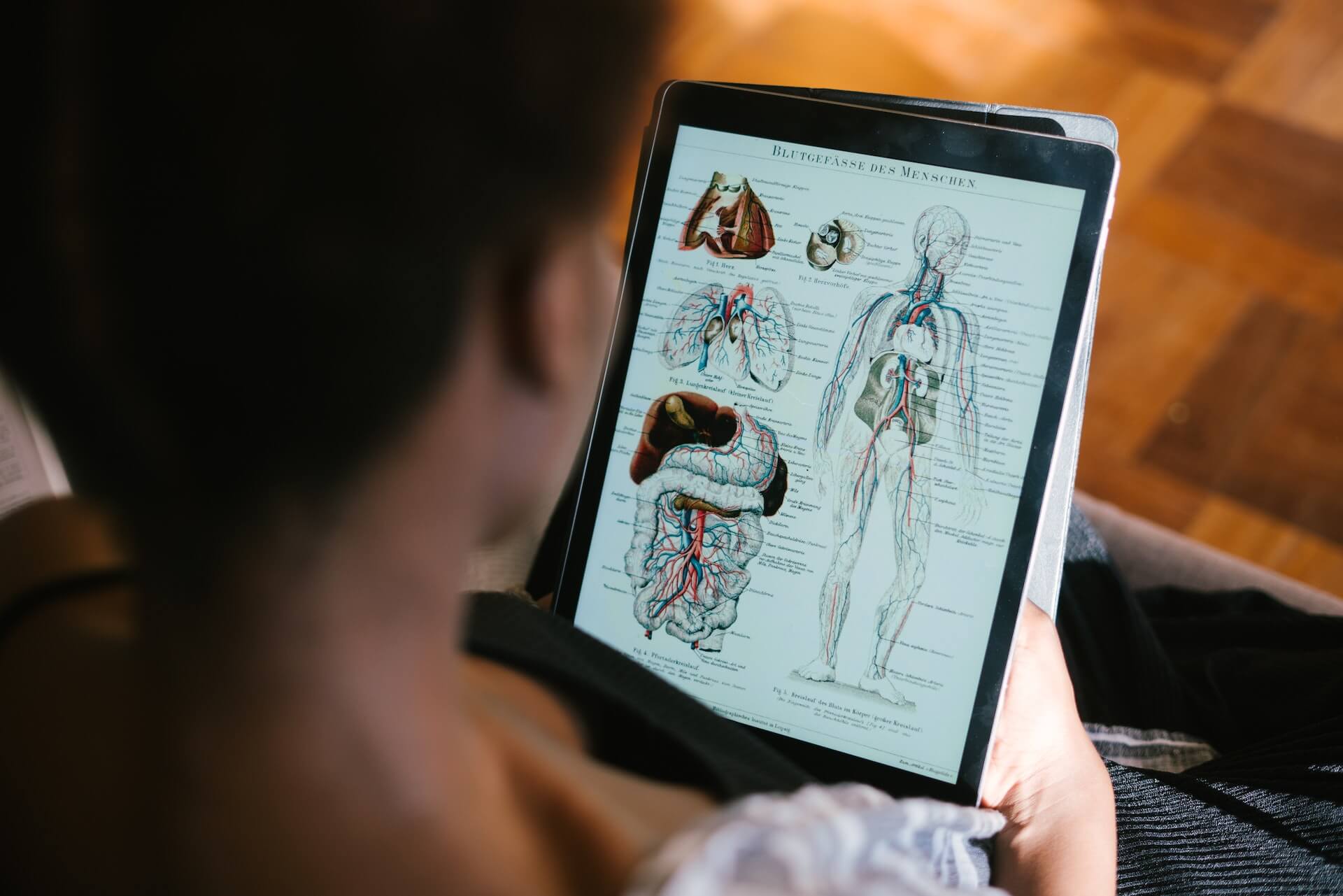 Student studying anatomy on an iPad