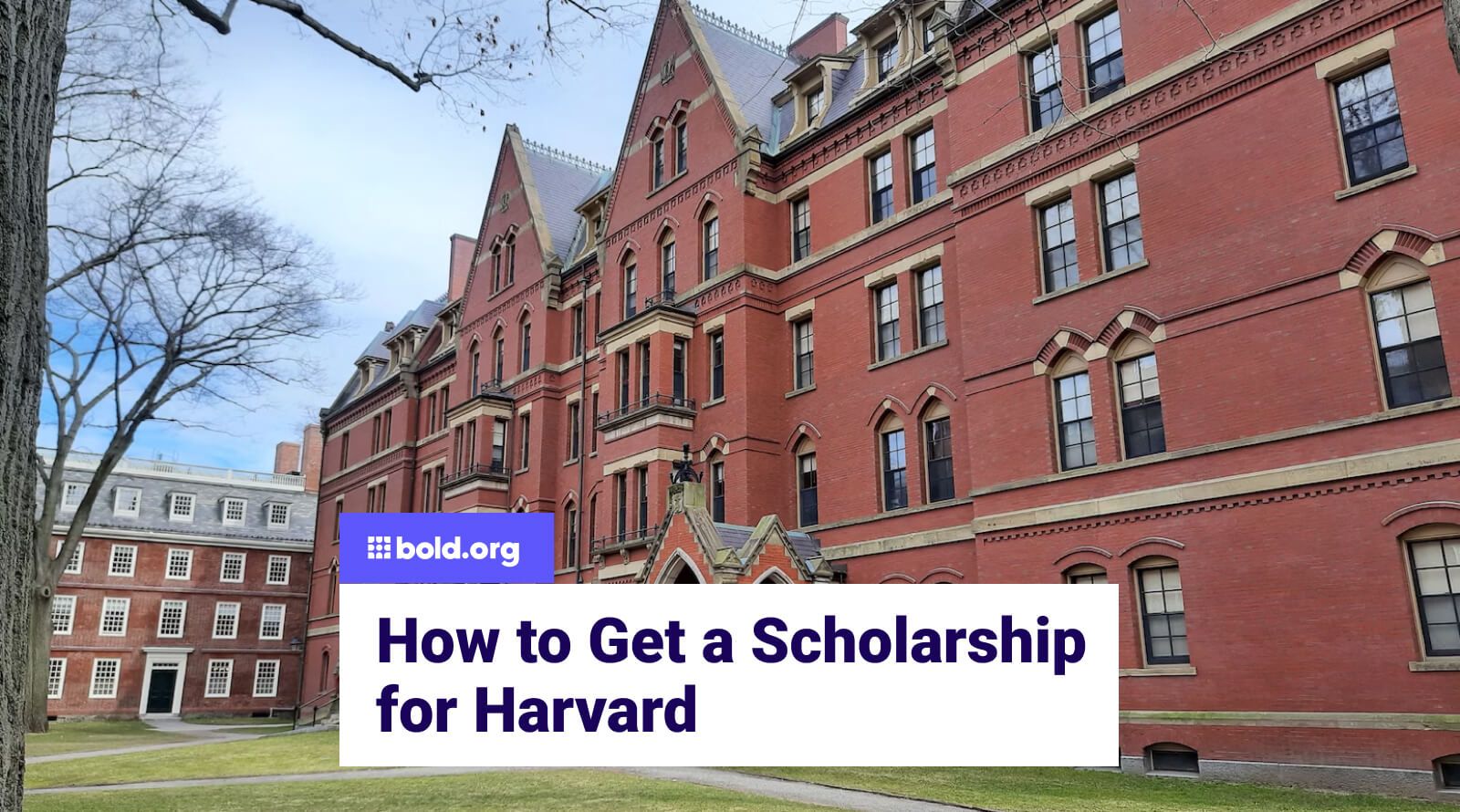 How To Get A Scholarship For Harvard Bold