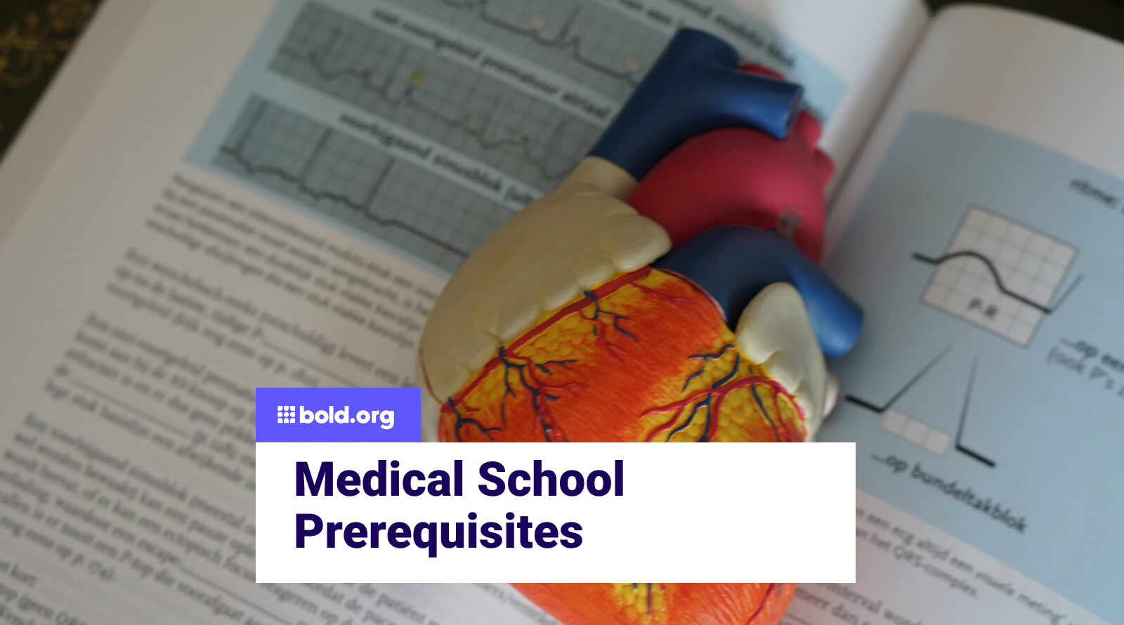 Medical School Prerequisites | Bold.org