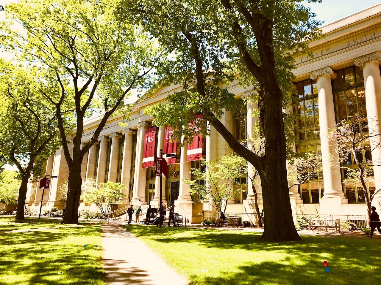 harvard university