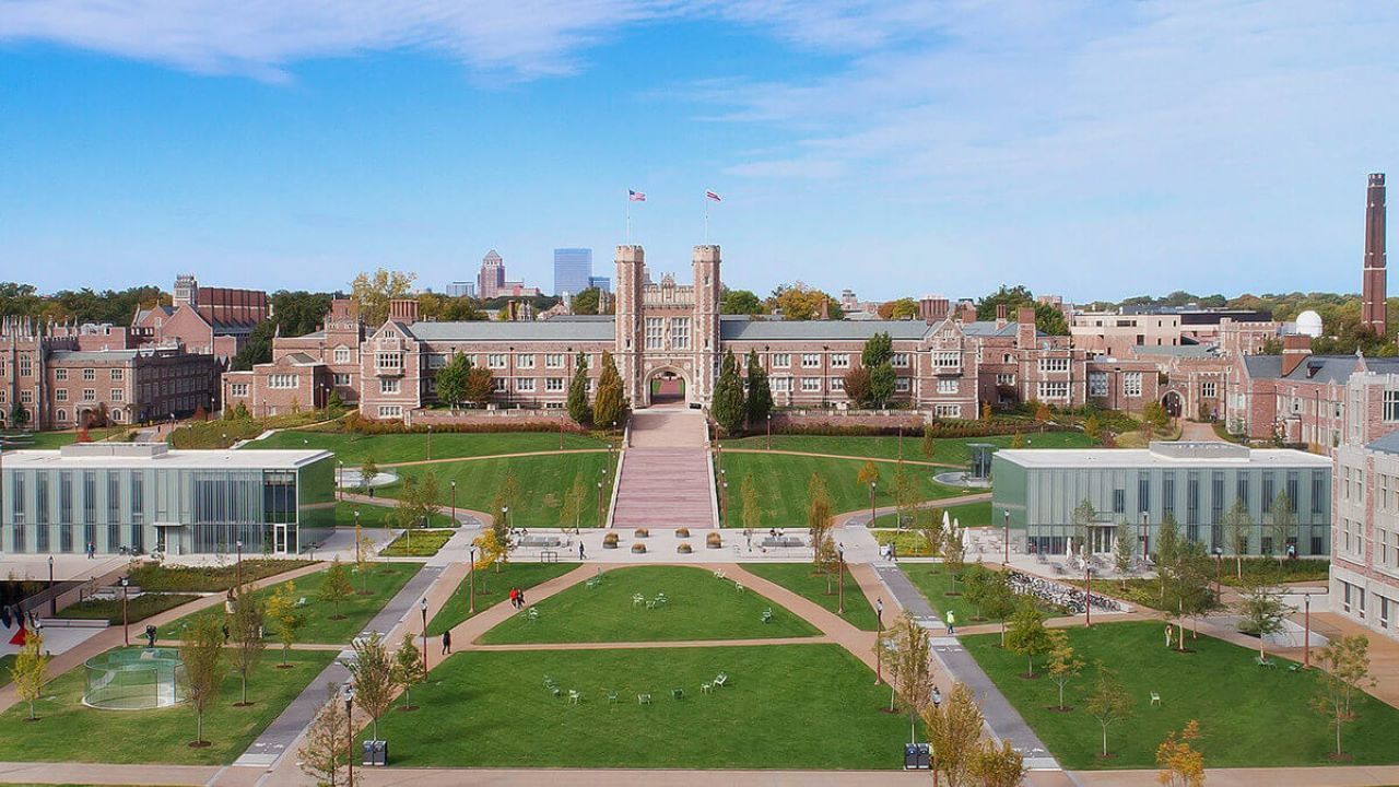 washington university