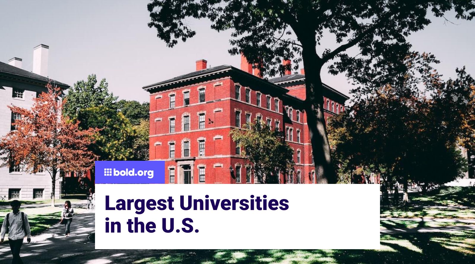 https://bold-org.ghost.io/content/images/2023/10/Largest-Universities-in-the-US.jpg