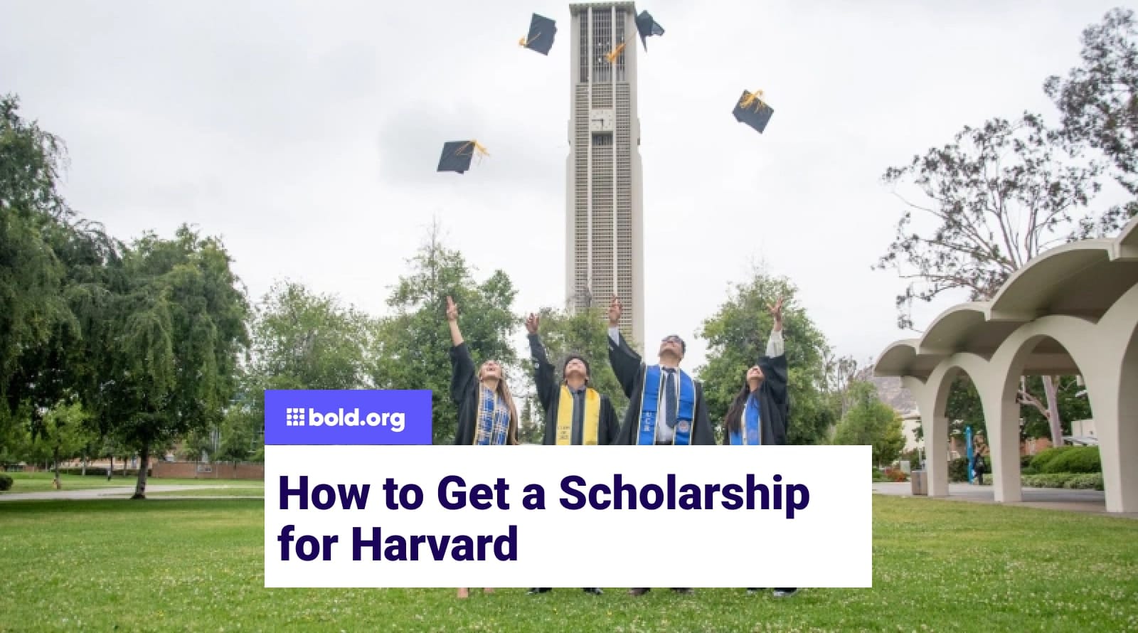 How to Get a Scholarship for Harvard in 2025 | Bold.org