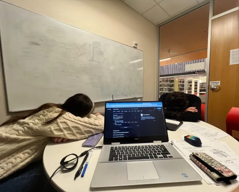 political science students taking a rest while studying