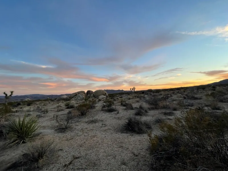 texas desert landscape