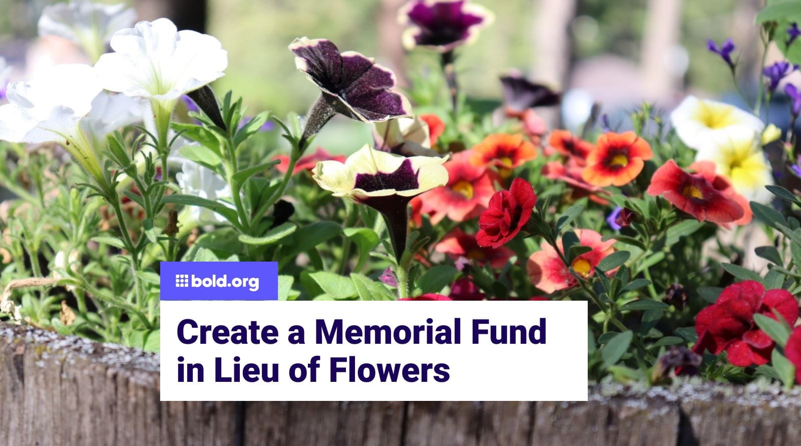 In Lieu of Flowers - Create a Memorial Fund | Bold.org | Bold.org