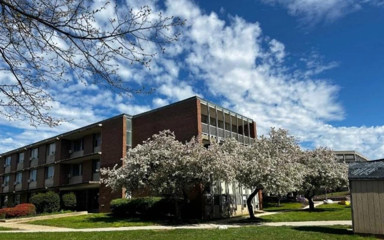 college campus building with white trees in front