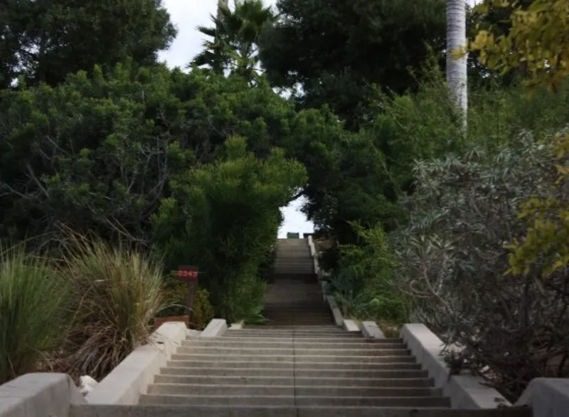 stairs through college campus garden