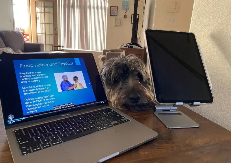 medical student studies history of operating with their dog at their desk