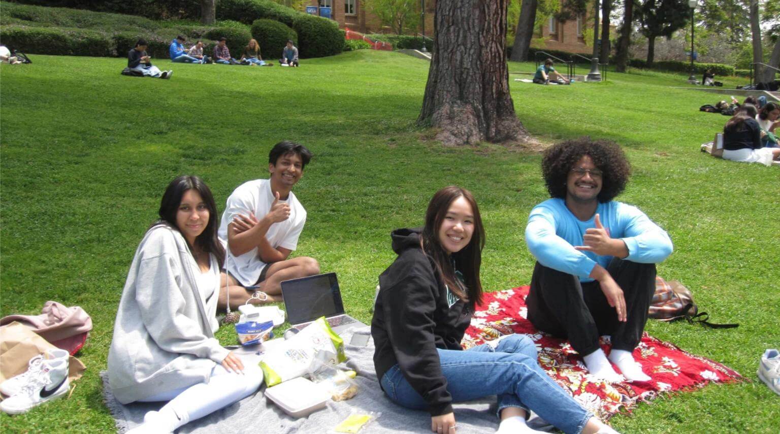 students sit in the grass for a picnic during spring break